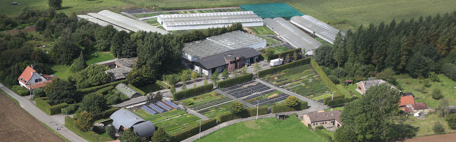 Luchtfoto Vaste planten De Swaef